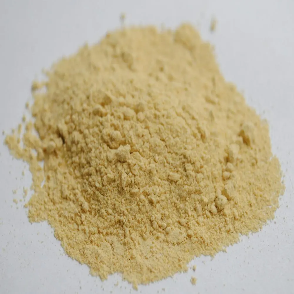 Fine Clostridium Butyricum bacterial culture powder extract used for short-chain fatty acid production.